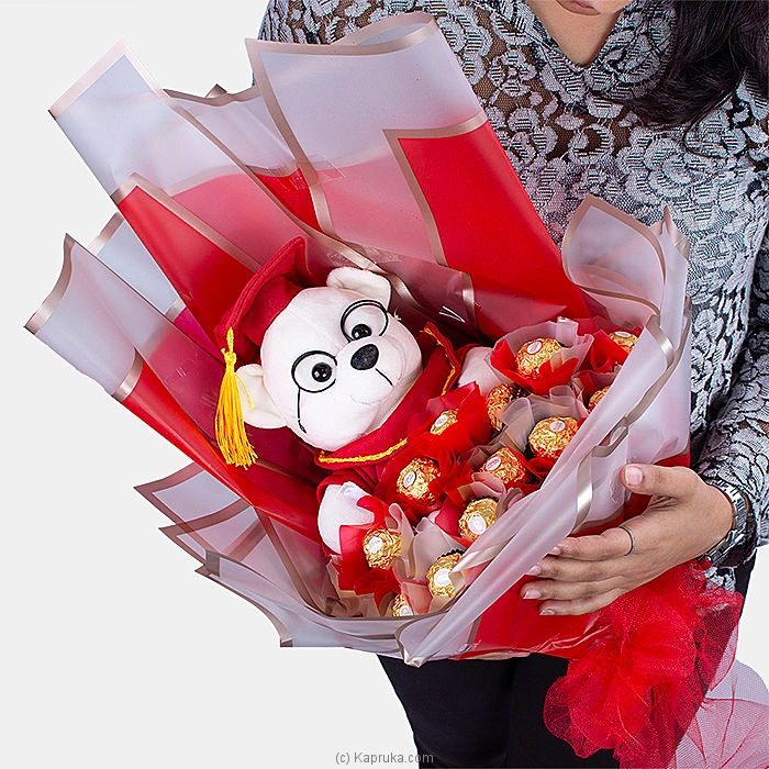 combopack combochg139 in Sri Lanka